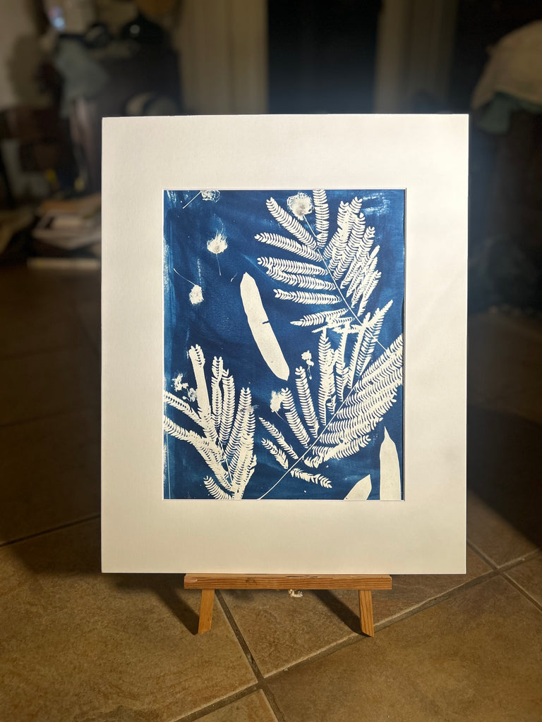 Mimosa Cyanotype